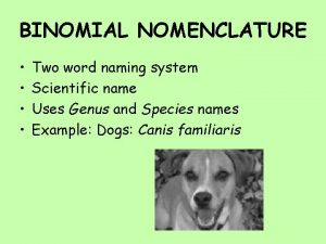 BINOMIAL NOMENCLATURE Two word naming system Scientific name