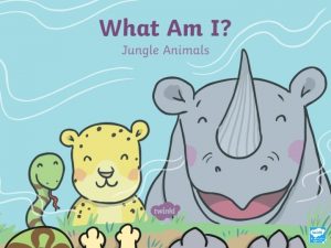 Jungle Riddles Aim Can you follow the clues