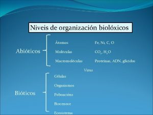 Niveis de organizacin biolxicos Abiticos tomos Fe Ni