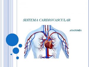 SISTEMA CARDIOVASCULAR ANATOMA GENERALIDADES El sistema cardiovascular est