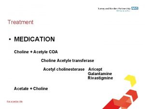 Treatment MEDICATION Choline Acetyle COA Choline Acetyle transferase