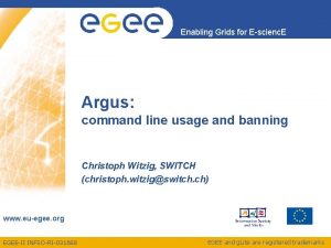 Enabling Grids for Escienc E Argus command line