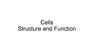 Cells Structure and Function Cell Structure Function Cell