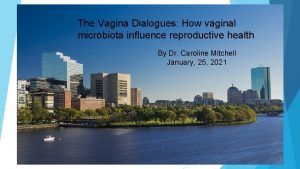 The Vagina Dialogues How vaginal microbiota influence reproductive