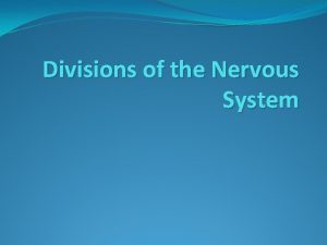 Divisions of the Nervous System The Nervous System