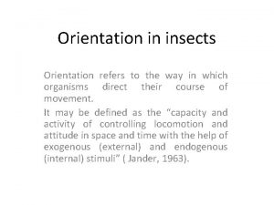 Orientation in insects Orientation refers to the way