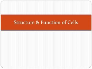 Structure Function of Cells Cell Theory The cell