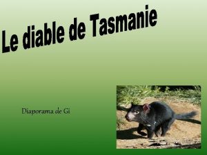 Diaporama de Gi Le diable de Tasmanie Le