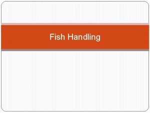 Fish Handling Prinsip dasar Fish handling 1 2