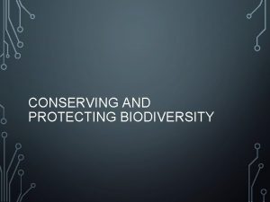 CONSERVING AND PROTECTING BIODIVERSITY CONSERVING BIODIVERSITY Natural Resources