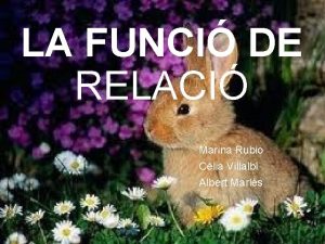 LA FUNCI DE RELACI Marina Rubio Clia Villalb