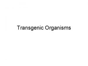 Transgenic Organisms What are Transgenic Organisms Transgenic organisms