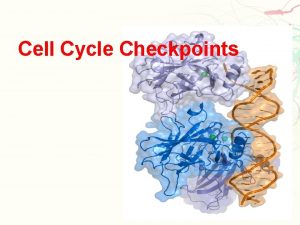 Cell Cycle Checkpoints Checkpoints They monitor the cell