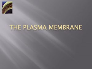 THE PLASMA MEMBRANE THE PLASMA MEMBRANE It has