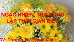 TP LM VN NGC NHIN THCH TH LP