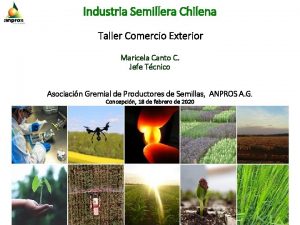 Industria Semillera Chilena Taller Comercio Exterior Maricela Canto