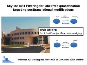 Skyline MS 1 Filtering for labelfree quantification targeting