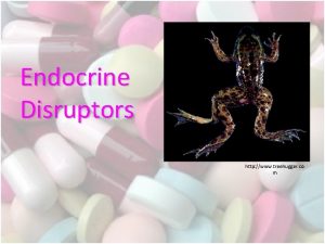 Endocrine Disruptors http www treehugger co m Endocrine