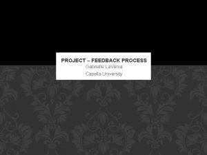 PROJECT FEEDBACK PROCESS Gabrielle La Venia Capella University