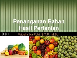 Penanganan Bahan Hasil Pertanian Widelia Ika Putri S