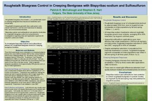 Roughstalk Bluegrass Control in Creeping Bentgrass with Bispyribacsodium