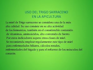 USO DEL TRIGO SARRACENO EN LA APICULTURA La