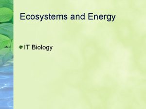 Ecosystems and Energy IT Biology Vocabulary 1 Autotroph