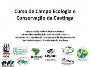Curso de Campo Ecologia e Conservao da Caatinga
