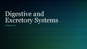 Digestive and Excretory Systems Chapter 32 A Nutrients
