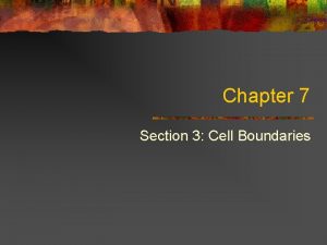 Chapter 7 Section 3 Cell Boundaries Cell Membrane
