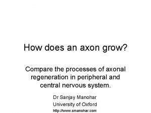 How does an axon grow Compare the processes