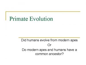 Primate Evolution Did humans evolve from modern apes