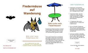 BER FLEDERMUSE Fledermuse auf Wanderung Fledermuse sind gesetzlich