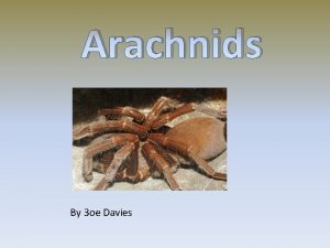 Arachnids By 3 oe Davies Arachnids are a