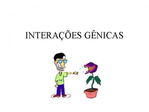 INTERAES GNICAS PLEIOTROPIA A pleiotropia do grego pleios