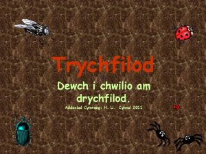 Trychfilod Dewch i chwilio am drychfilod Addasiad Cymraeg