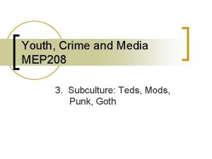 Youth Crime and Media MEP 208 3 Subculture