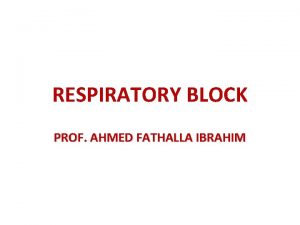 RESPIRATORY BLOCK PROF AHMED FATHALLA IBRAHIM NASAL CAVITY