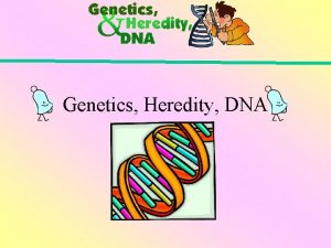 Genetics Heredity DNA Objectives Define Genetics heredity and