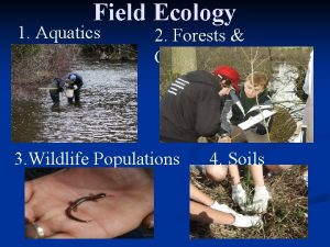 Field Ecology 1 Aquatics 2 Forests Grasslands 3