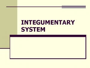 INTEGUMENTARY SYSTEM Skin Did you know n The