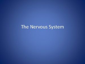 The Nervous System Regulation The control and coordination