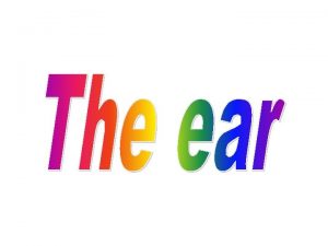 THE EAR The ear is the organ of