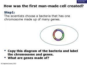 Activity How was the first manmade cell created