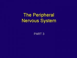 The Peripheral Nervous System PART 3 Peripheral Nervous