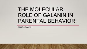 THE MOLECULAR ROLE OF GALANIN IN PARENTAL BEHAVIOR