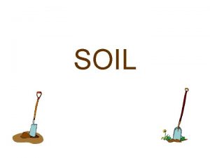 SOIL What is soil Soil is the loose