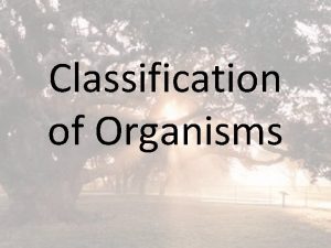 Classification of Organisms Species of Organisms There are
