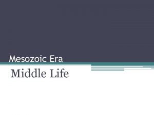 Mesozoic Era Middle Life Objectives Compare life forms