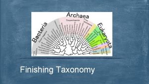 Finishing Taxonomy The Phylogenetic Tree Domain Kingdom Phylum